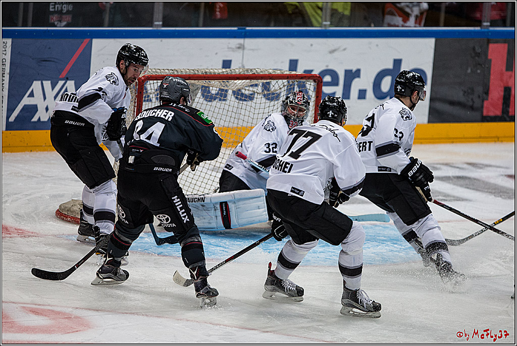 DEL, Koelner Haie - Nuernberg Ice Tiger, 24.01.2017